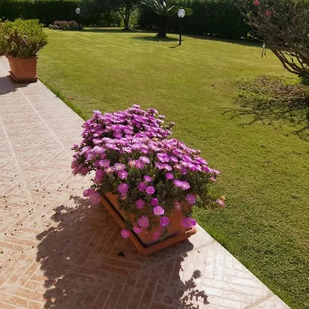 Casa Martina 4* Pula